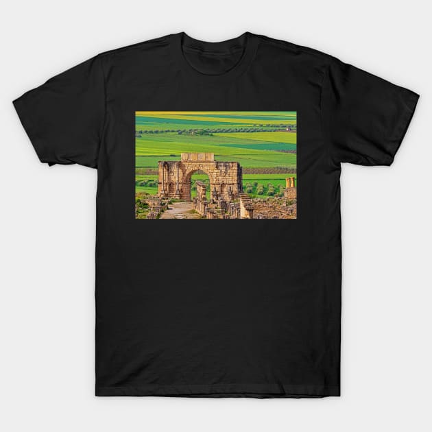 Volubilis Arch & Countryside. T-Shirt by bulljup